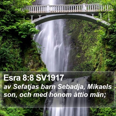 Esra 8:8 SV1917 Bible Verse Image
