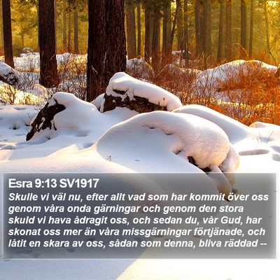 Esra 9:13 SV1917 Bible Verse Image