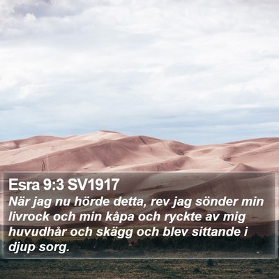 Esra 9:3 SV1917 Bible Verse Image