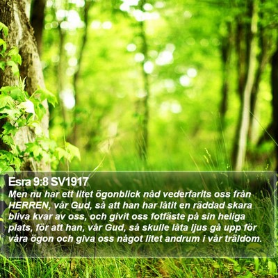 Esra 9:8 SV1917 Bible Verse Image