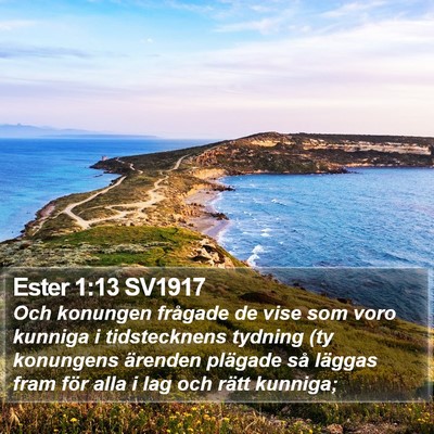 Ester 1:13 SV1917 Bible Verse Image