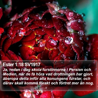 Ester 1:18 SV1917 Bible Verse Image