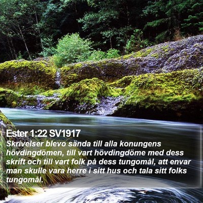 Ester 1:22 SV1917 Bible Verse Image
