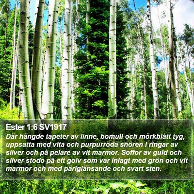 Ester 1:6 SV1917 Bible Verse Image