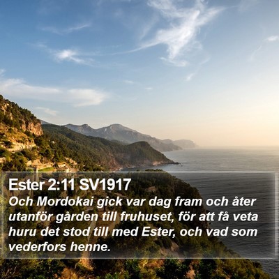 Ester 2:11 SV1917 Bible Verse Image