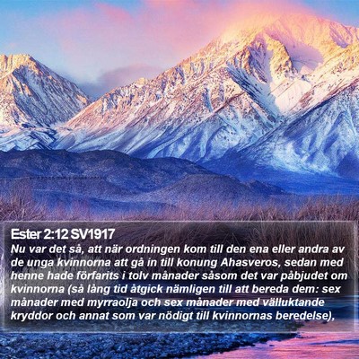 Ester 2:12 SV1917 Bible Verse Image
