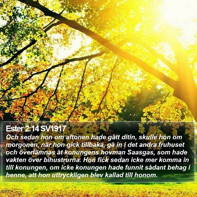 Ester 2:14 SV1917 Bible Verse Image