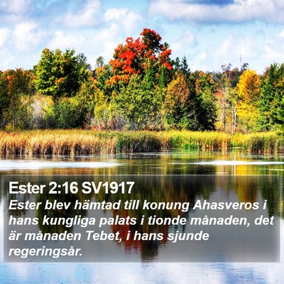 Ester 2:16 SV1917 Bible Verse Image