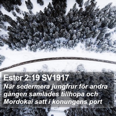Ester 2:19 SV1917 Bible Verse Image