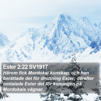 Ester 2:22 SV1917 Bible Verse Image