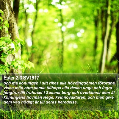 Ester 2:3 SV1917 Bible Verse Image