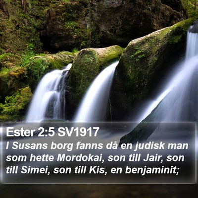 Ester 2:5 SV1917 Bible Verse Image
