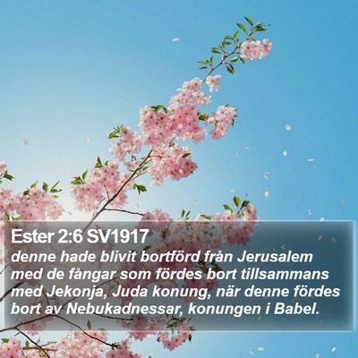 Ester 2:6 SV1917 Bible Verse Image