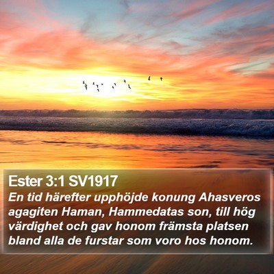 Ester 3:1 SV1917 Bible Verse Image