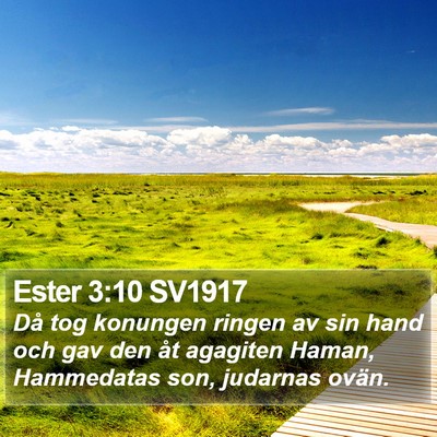 Ester 3:10 SV1917 Bible Verse Image