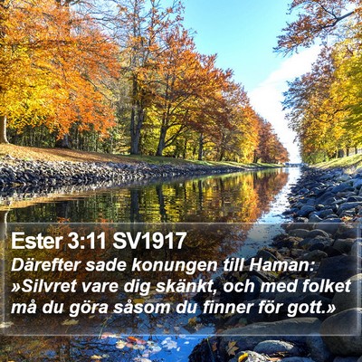 Ester 3:11 SV1917 Bible Verse Image