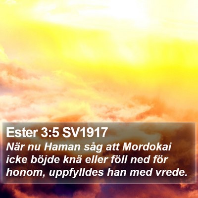 Ester 3:5 SV1917 Bible Verse Image