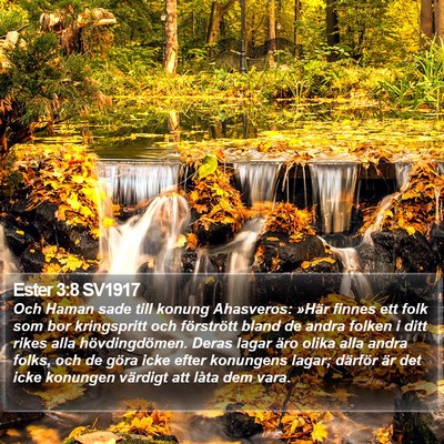 Ester 3:8 SV1917 Bible Verse Image
