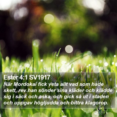 Ester 4:1 SV1917 Bible Verse Image