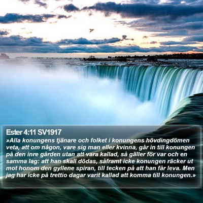 Ester 4:11 SV1917 Bible Verse Image