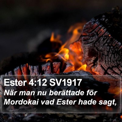 Ester 4:12 SV1917 Bible Verse Image