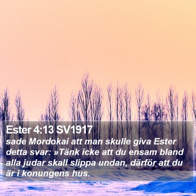 Ester 4:13 SV1917 Bible Verse Image