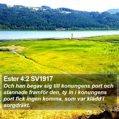 Ester 4:2 SV1917 Bible Verse Image