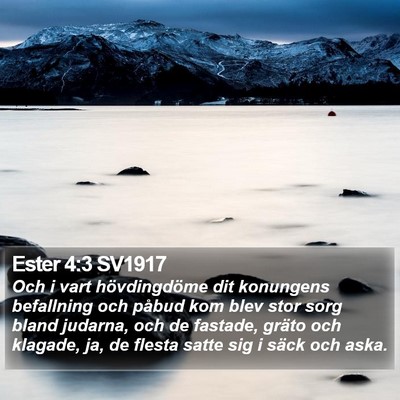 Ester 4:3 SV1917 Bible Verse Image