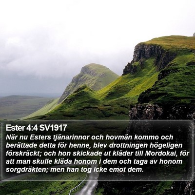 Ester 4:4 SV1917 Bible Verse Image