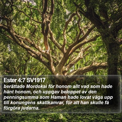 Ester 4:7 SV1917 Bible Verse Image