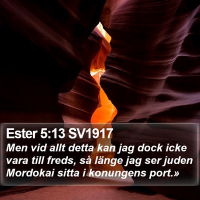 Ester 5:13 SV1917 Bible Verse Image