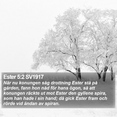 Ester 5:2 SV1917 Bible Verse Image
