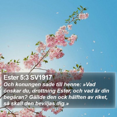 Ester 5:3 SV1917 Bible Verse Image