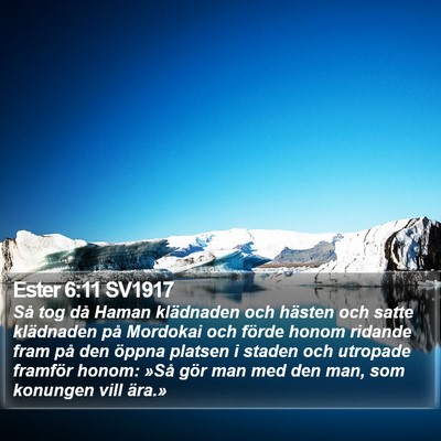 Ester 6:11 SV1917 Bible Verse Image