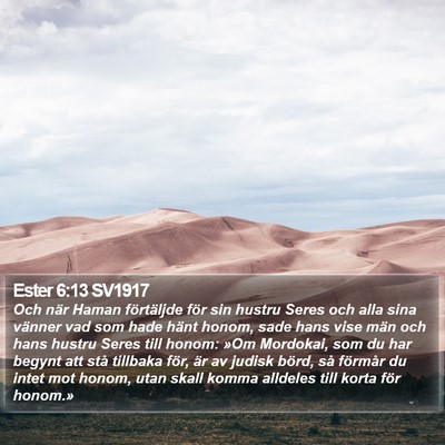 Ester 6:13 SV1917 Bible Verse Image