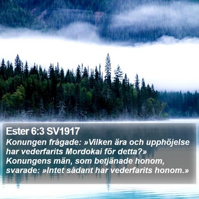 Ester 6:3 SV1917 Bible Verse Image