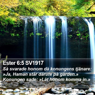 Ester 6:5 SV1917 Bible Verse Image