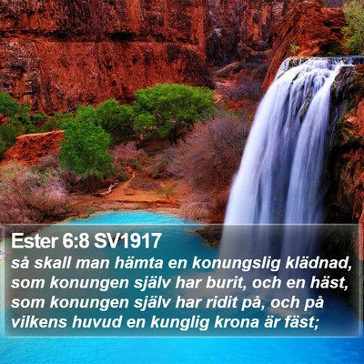 Ester 6:8 SV1917 Bible Verse Image