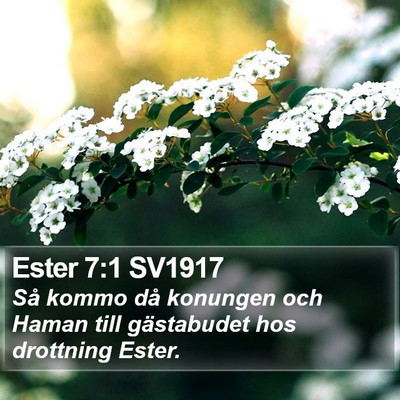Ester 7:1 SV1917 Bible Verse Image