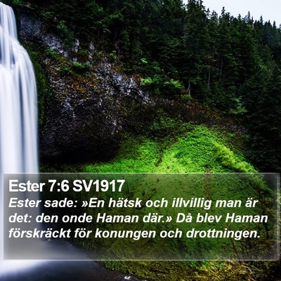 Ester 7:6 SV1917 Bible Verse Image