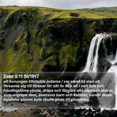 Ester 8:11 SV1917 Bible Verse Image