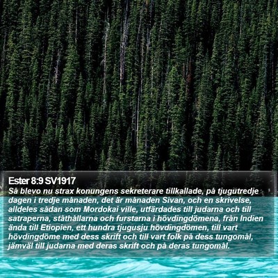 Ester 8:9 SV1917 Bible Verse Image