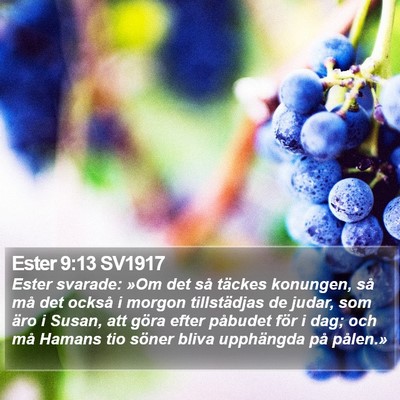 Ester 9:13 SV1917 Bible Verse Image