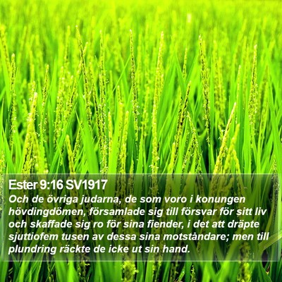Ester 9:16 SV1917 Bible Verse Image