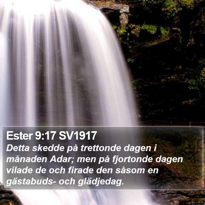 Ester 9:17 SV1917 Bible Verse Image