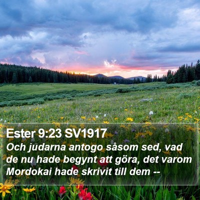 Ester 9:23 SV1917 Bible Verse Image