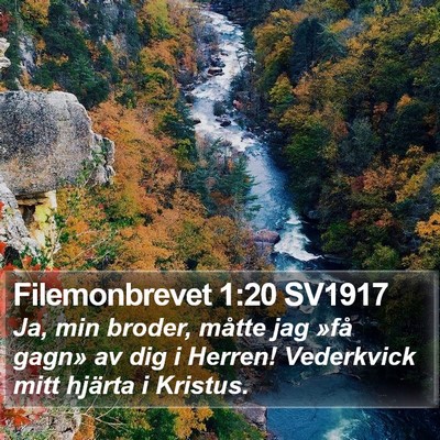 Filemonbrevet 1:20 SV1917 Bible Verse Image