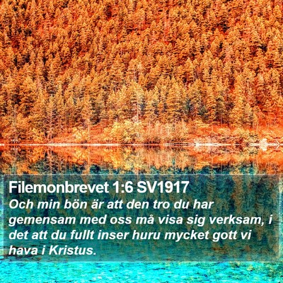 Filemonbrevet 1:6 SV1917 Bible Verse Image