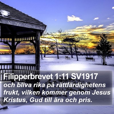 Filipperbrevet 1:11 SV1917 Bible Verse Image