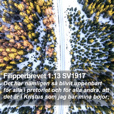 Filipperbrevet 1:13 SV1917 Bible Verse Image